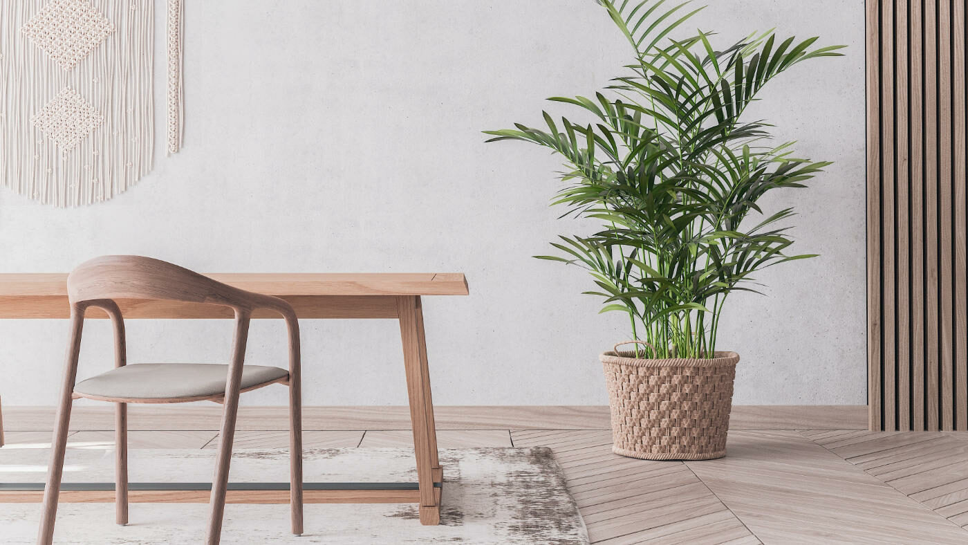 Políticas de Privacidade